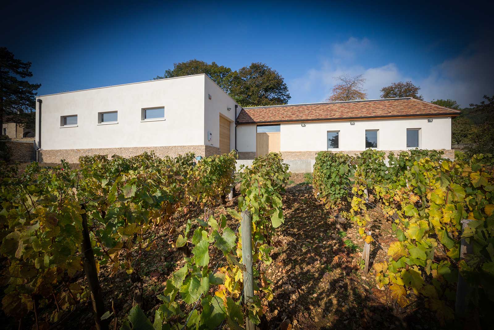 Domaine Chapelle de Blagny VINOSPIRIT